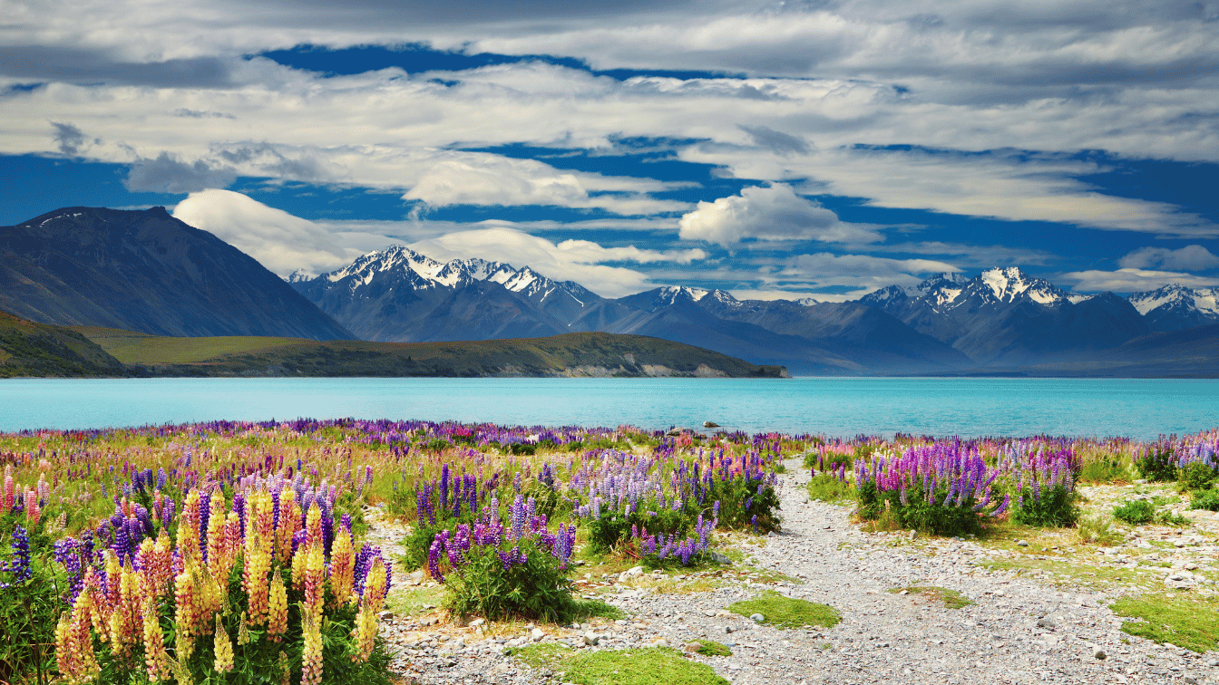 Teaching Jobs in New Zealand